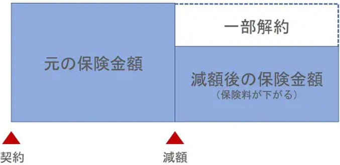 減額のしくみ