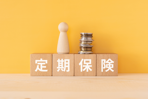定期保険とは?|特徴やメリット、終身保険とは違う活用法を解説
